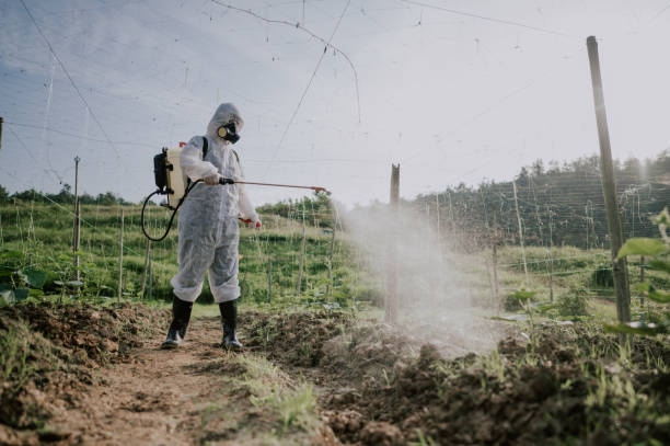 Best Best Pest Control Companies  in Pataskala, OH