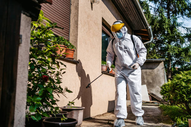 Best Pest Control for Businesses  in Pataskala, OH